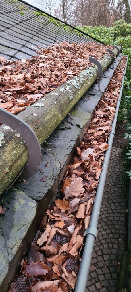 Vorher-Bild einer stark verschmutzten Dachrinne